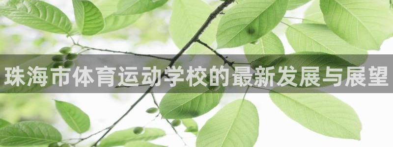 JJB竞技宝官方正版app集团简介：珠海市体育运动学