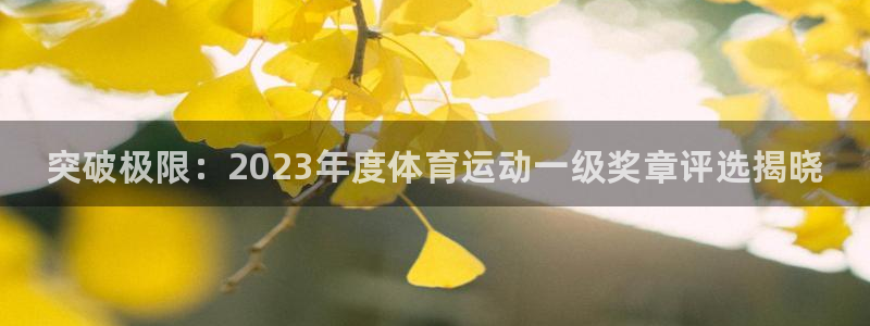 JJB竞技宝官网下载平台：突破极限：2023年度体育
