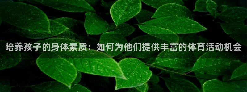 JJB竞技宝官方正版app娱乐代理怎么样：培养孩子的