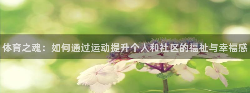 JJB竞技宝官方正版app集团官网首页网址：体育之魂：如何通