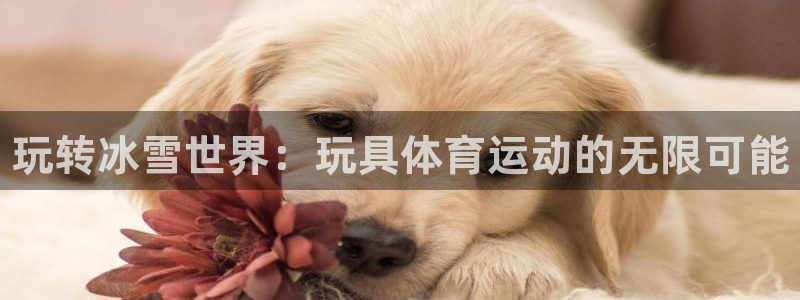JJB竞技宝官网下载联系电话：玩转冰雪世界：玩具体育