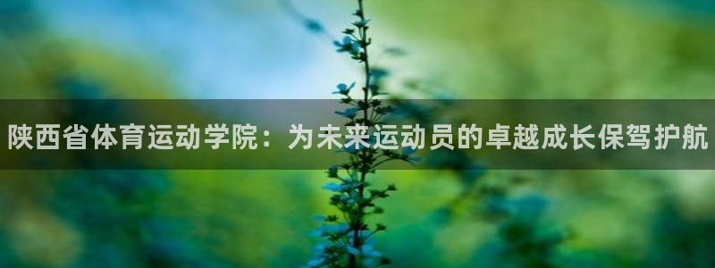 JJB竞技宝官方正版app集团官网首页网址：陕西省体