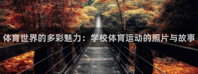 JJB竞技宝官方正版app娱乐首页网站大全：体育世界的多彩魅