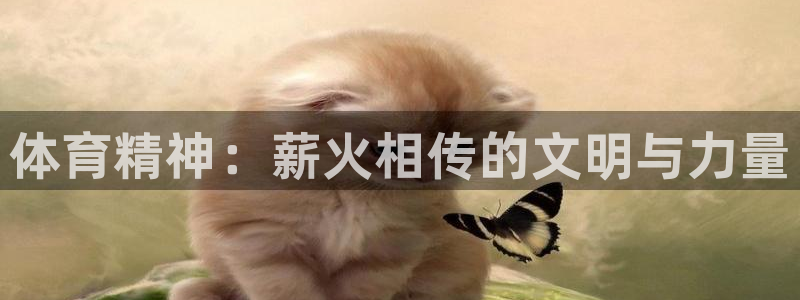 JJB竞技宝官方正版app五金厂：体育精神：薪火相传的文明与