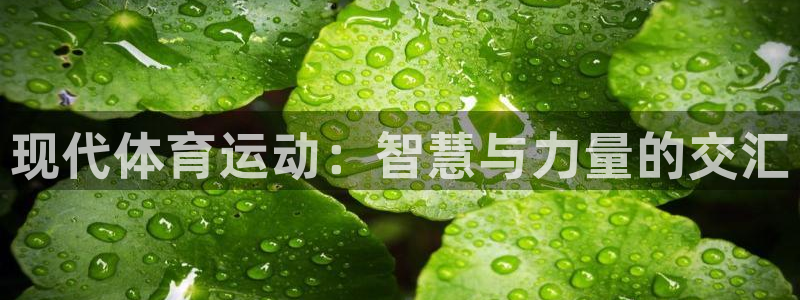 德国JJB竞技宝官方正版app集团：现代体育运动：智