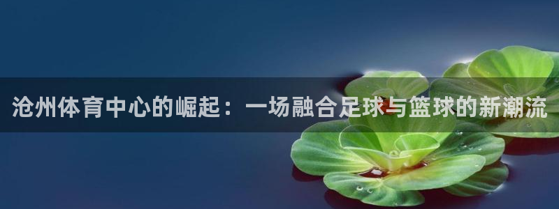 JJB竞技宝官网下载平台：沧州体育中心的崛起：一场融