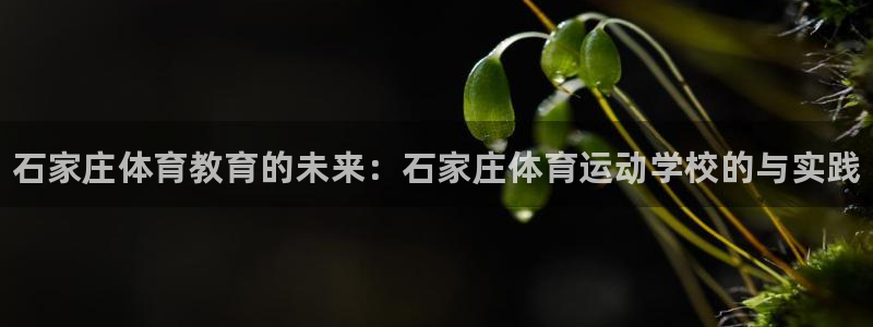 JJB竞技宝官网下载平台注册要钱吗安全吗：石家庄体育