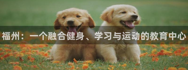 JJB竞技宝官网下载联系电话：福州：一个融合健身、学