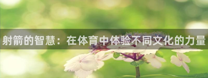 JJB竞技宝官方正版app娱乐网站：射箭的智慧：在体育中体验
