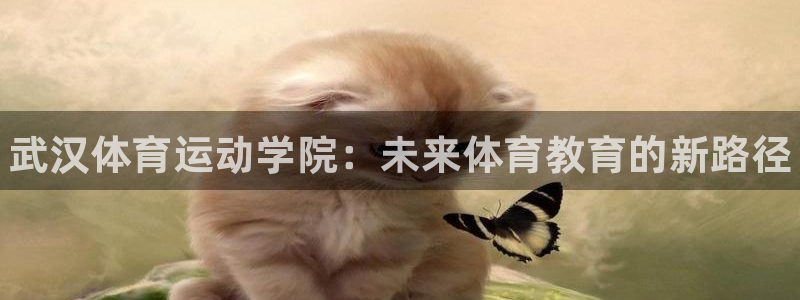 JJB竞技宝官网下载平台是正规平台吗安全吗
