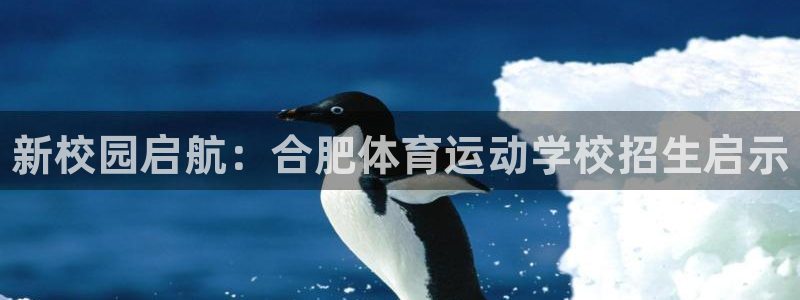 JJB竞技宝官方正版app神州：新校园启航：合肥体育