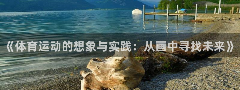 JJB竞技宝官方正版app新能源：《体育运动的想象与实践：从