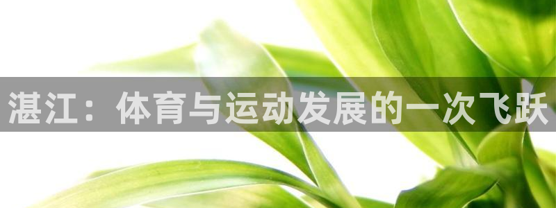 JJB竞技宝官网下载招商电话：湛江：体育与运动发展的