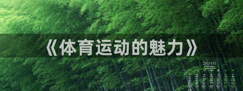 JJB竞技宝官网下载招商电话号码查询是多少：《体育运动的魅力