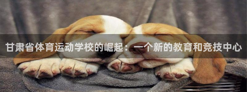 JJB竞技宝官方正版app娱乐网站：甘肃省体育运动学