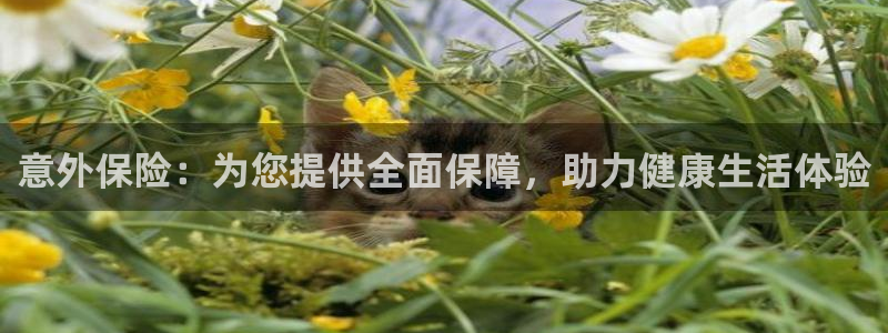 JJB竞技宝官方正版app集团E.ON