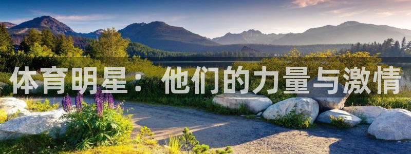 JJB竞技宝官网下载招商电话地址是多少