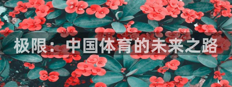 JJB竞技宝官网下载平台假的吗是真的吗