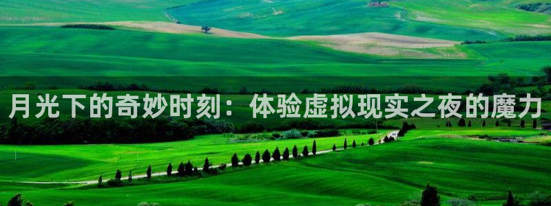 极速直播nba体育直播吧免费观看：月光下的奇妙时刻：体验虚拟现实之夜的魔力