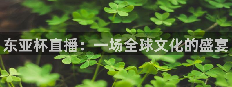 极速nba篮球直播：东亚杯直播：一场全球文化的盛宴
