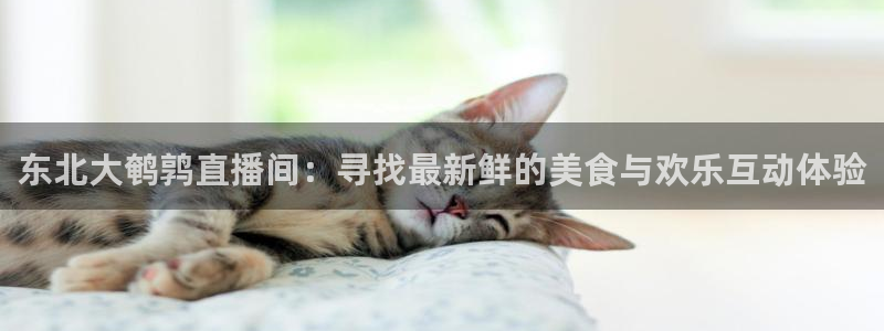 极速体育nba直播吧：东北大鹌鹑直播间：寻找最新鲜的美食与欢乐互动体验