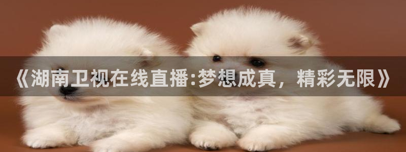 极速体育斯诺克比赛直播：《湖南卫视在线直播:梦想成真，精彩无限》