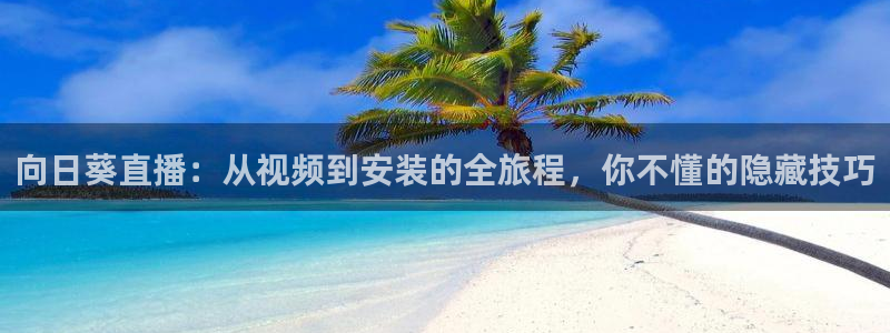 极速体育篮球直播在线观看：向日葵直播：从视频到安装的全旅程，你不懂的隐藏技巧