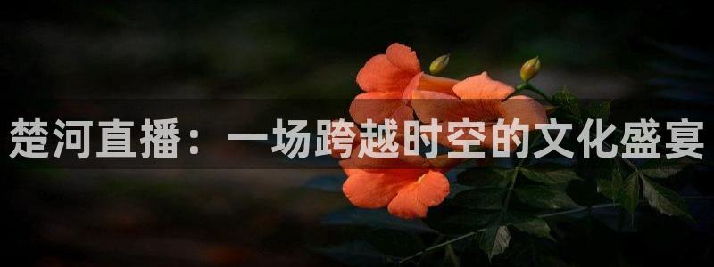 nba直播极速体育直播：楚河直播：一场跨越时空的文化盛宴