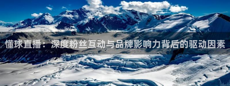 极速体育在线直播观看：懂球直播：深度粉丝互动与品牌影响力背后的驱动因素
