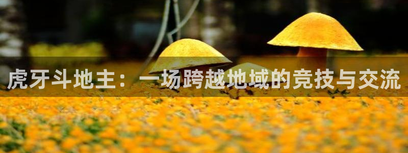 极速nba体育直播：虎牙斗地主：一场跨越地域的竞技与交流