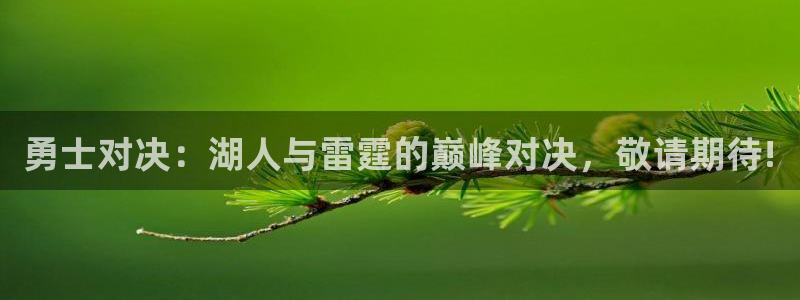 nba直播jrs极速体育：勇士对决：湖人与雷霆的巅峰对决，敬请期待!
