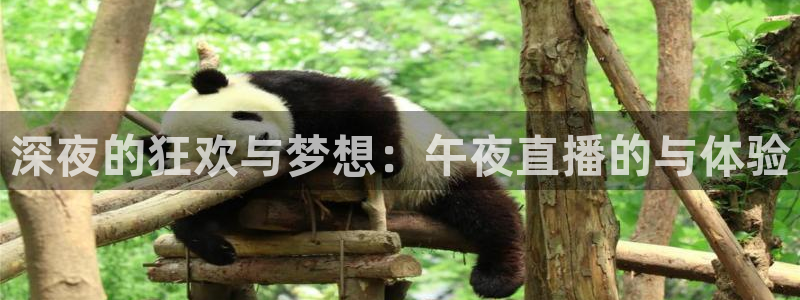 直播吧极速体育：深夜的狂欢与梦想：午夜直播的与体验
