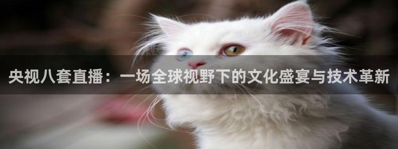 nba直播在线观看免费极速体育：央视八套直播：一场全球视野下的文化盛宴与技术革新