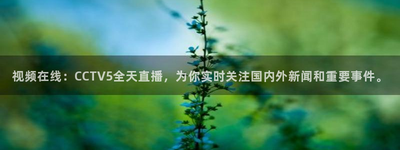 极速体育直播nba在线视频直播：视频在线：CCTV5全天直播，为你实时关注国内外新闻和重要事件。