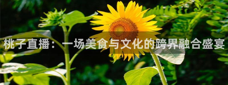 q极速体育直播观看：桃子直播：一场美食与文化的跨界融合盛宴