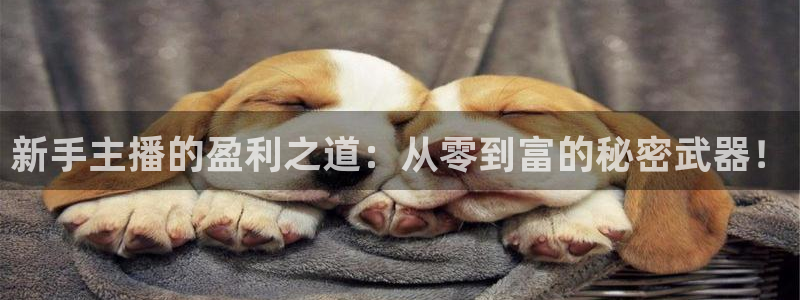 nba直播在线极速体育：新手主播的盈利之道：从零到富的秘密武器！