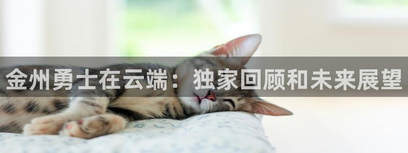 nba直播吧极速直播吧：金州勇士在云端：独家回顾和未来展望